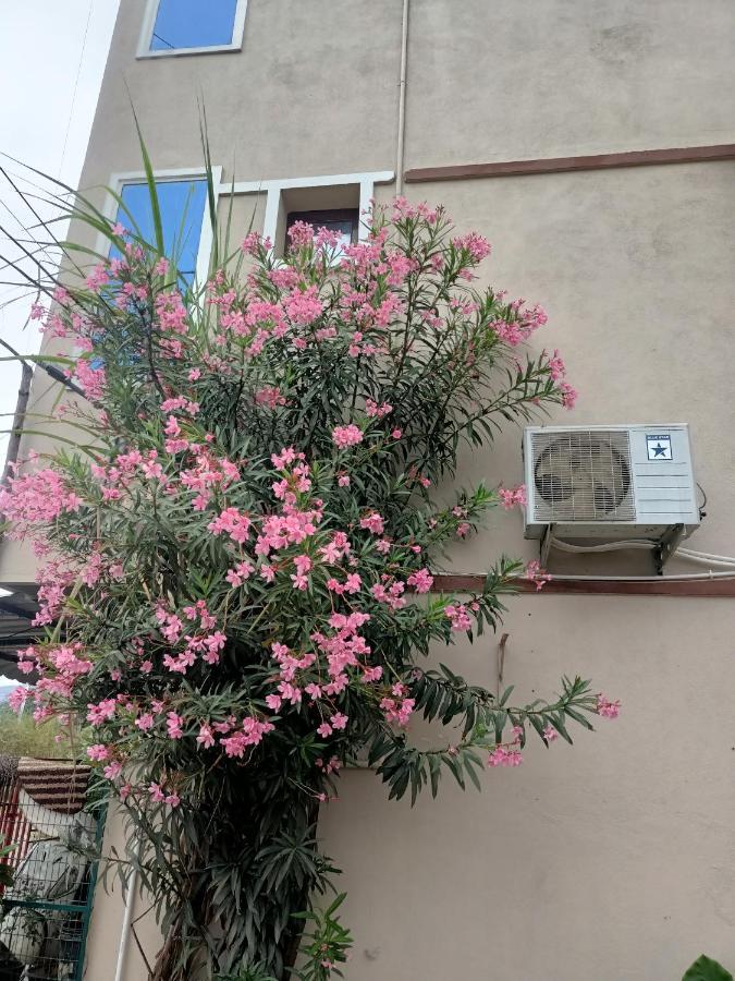 Advik Homestays Tirupati Bagian luar foto